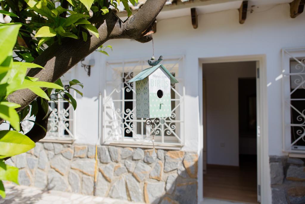 Apartamentos Casa Torres - Adults Only 阿尔比尔 外观 照片